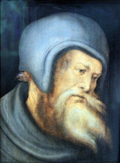 Head of a Bearded Man by Hans Leonhard Schäufelein